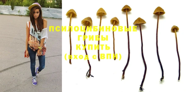 гидропоника Бородино