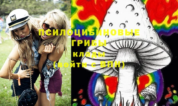 винт Богданович