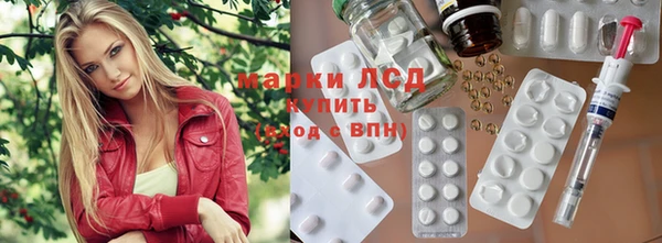 ПСИЛОЦИБИНОВЫЕ ГРИБЫ Белокуриха