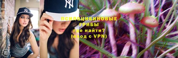 гидропоника Бородино