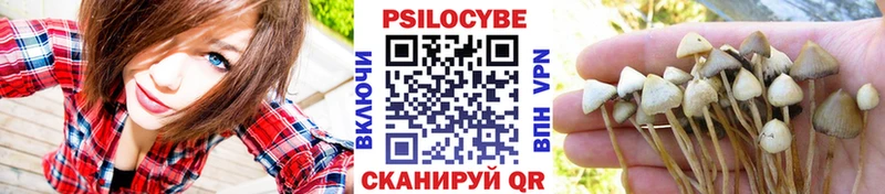 hydra   Демидов  Псилоцибиновые грибы Psilocybine cubensis 